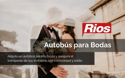 Alquiler de Autobús para Bodas en Murcia y Alicante: La Garantía de que Todo Saldrá “Sí, Quiero”