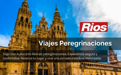 Alquiler de Autobuses para Viajes: La Guía de Experto para Grupos desde el Levante