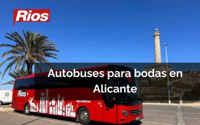 Alquiler de Autobuses para Bodas en Alicante: Guía Completa y Consejos