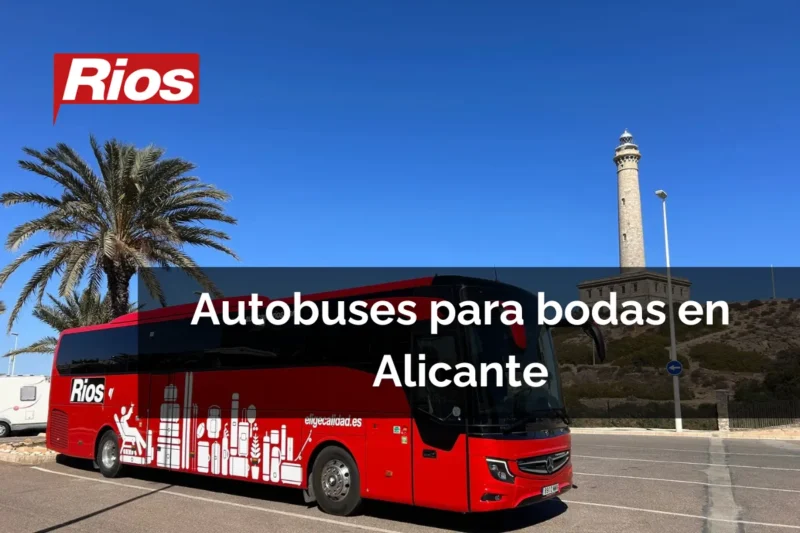 Todo lo que debes saber sobre el alquiler de autobuses para bodas en Alicante