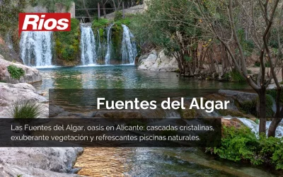 Excursión a las Fuentes del Algar en grupo: Naturaleza y relax sin preocupaciones