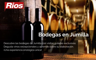 Visitar Bodegas en Jumilla: Guía de viaje para Grupos y Eventos